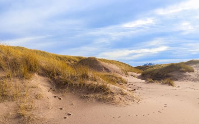 Dunes de sable avec herbes sous un ciel bleu, Côte d Opale près du parc Bagatelle pour Halloween