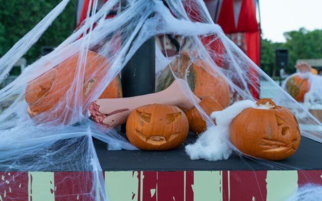 Citrouilles sculptées sous de fausses toiles d araignée, comparatif Halloween dans les parcs belges