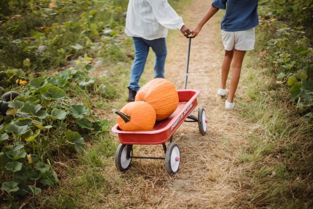 Famille qui transporte des citrouilles dans un chariot rouge en automne, Halloween à Plopsaland Ardennes