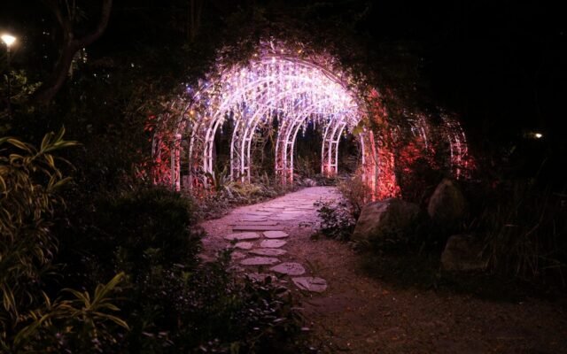 Chemin de jardin sous une arche illuminée la nuit, nocturne Halloween à Pairi Daiza
